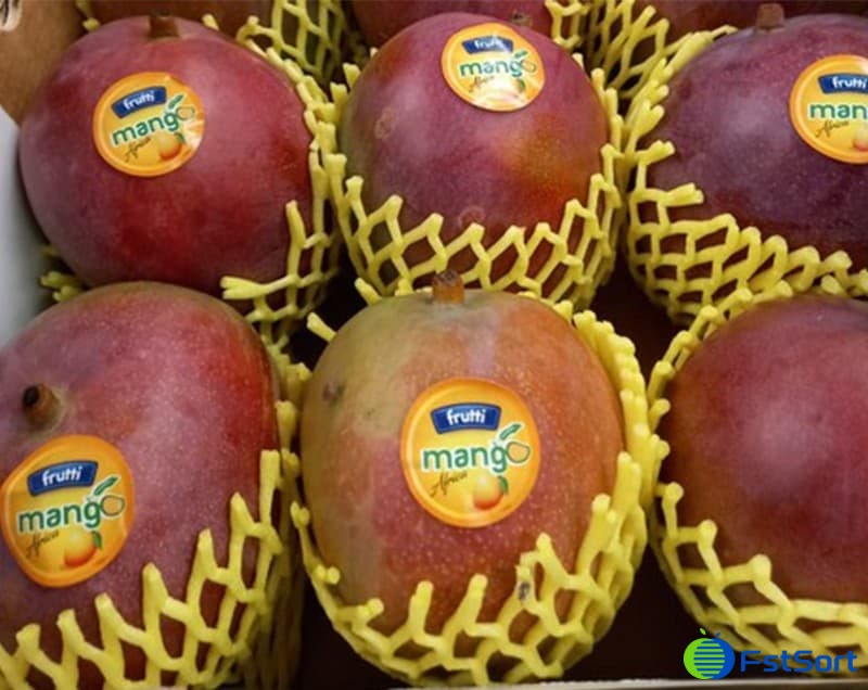 images/1678948888483mango grading machine.jpg